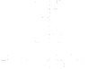 BlackSim